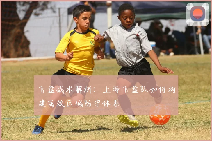飞盘战术解析：上海飞盘队如何构建高效区域防守体系
