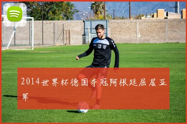 2014世界杯德国夺冠阿根廷屈居亚军